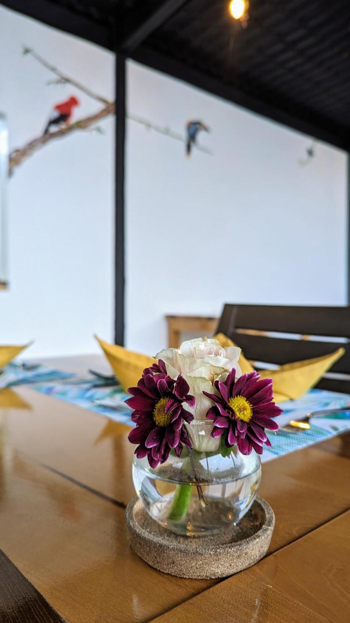 Terrazas De Dana Boutique & Lodge Mindo