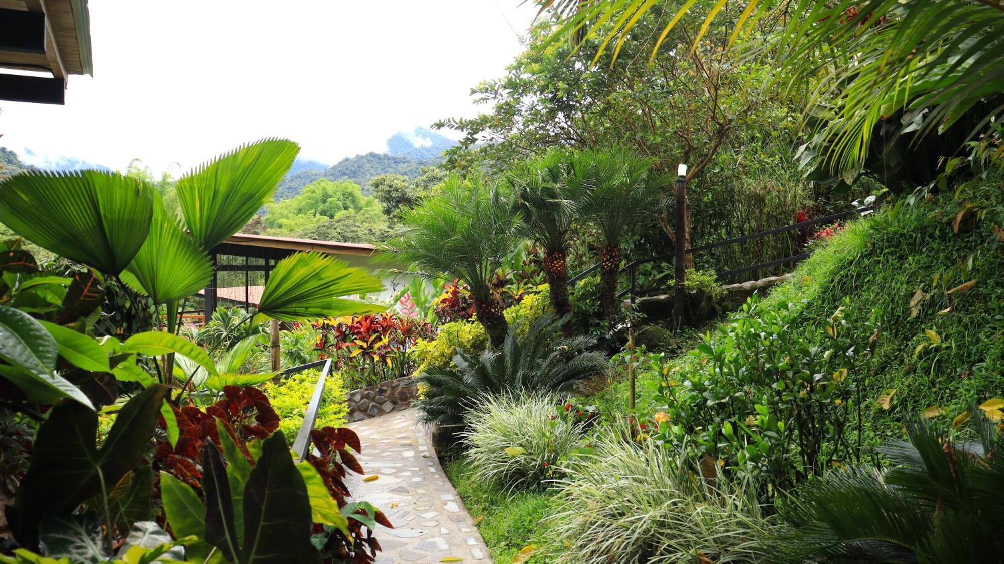 Terrazas De Dana Boutique & Lodge Mindo