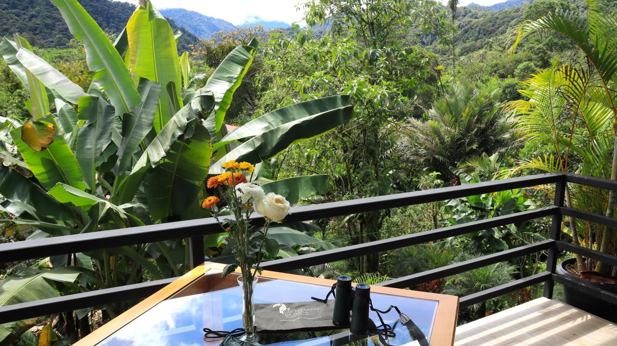 Terrazas De Dana Boutique & Lodge Mindo