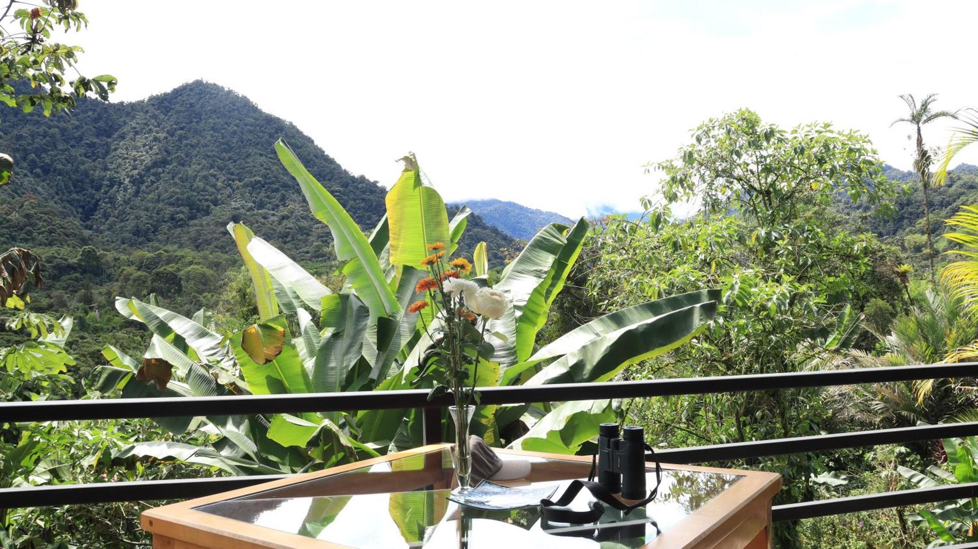 Lodge Terrazas De Dana Boutique & Mindo