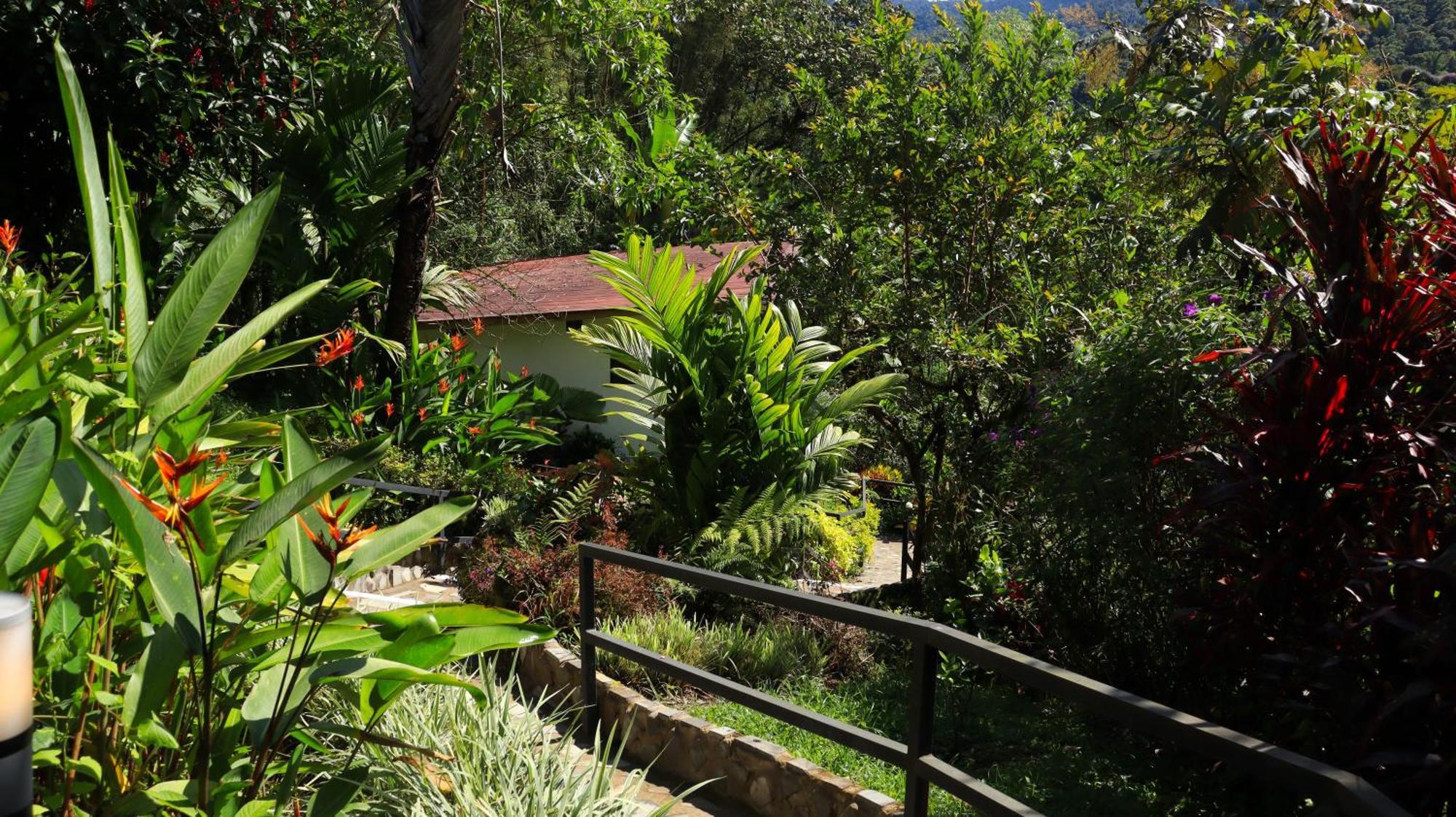 Terrazas De Dana Boutique & Lodge