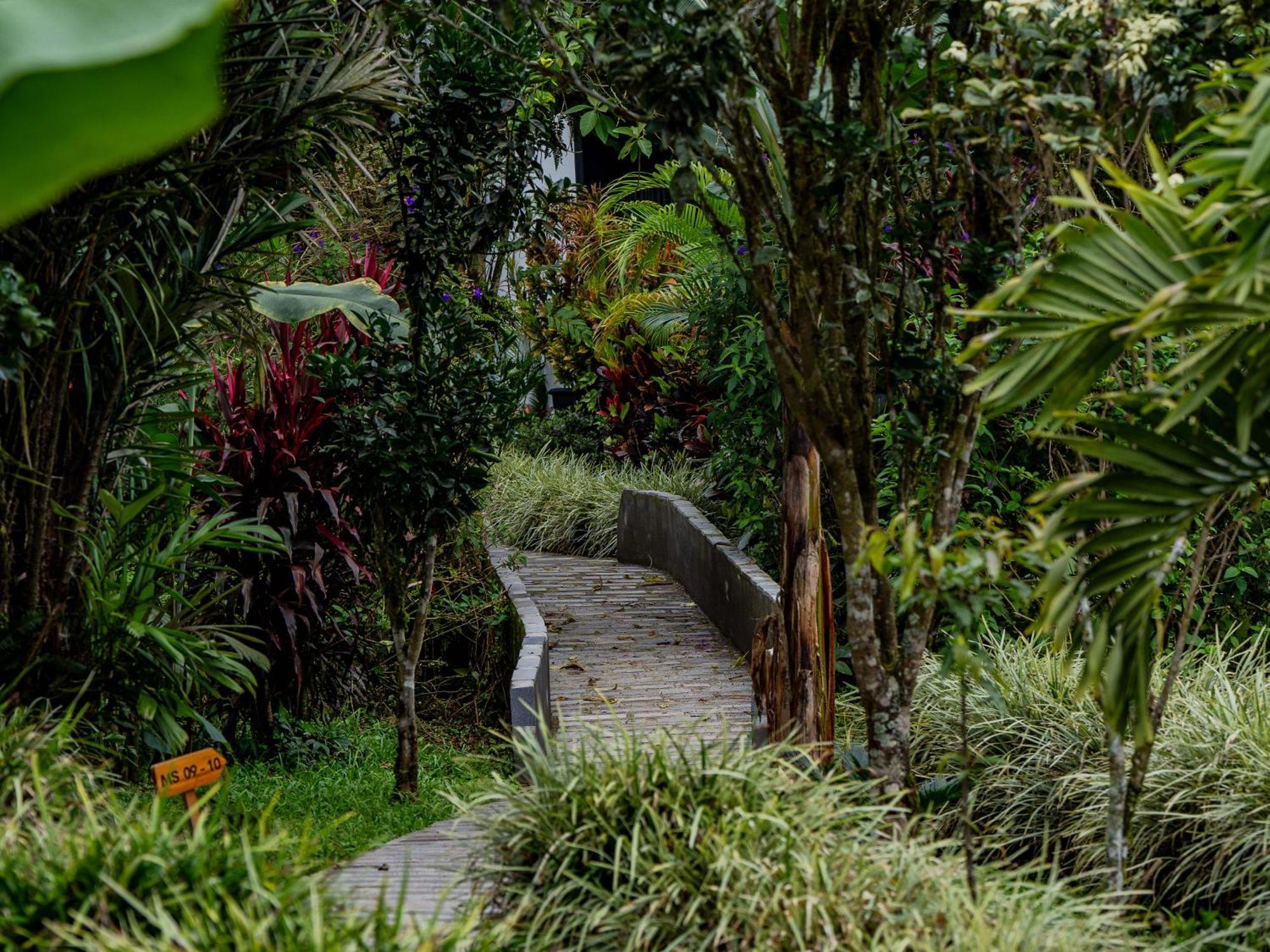 Lodge Terrazas De Dana Boutique &